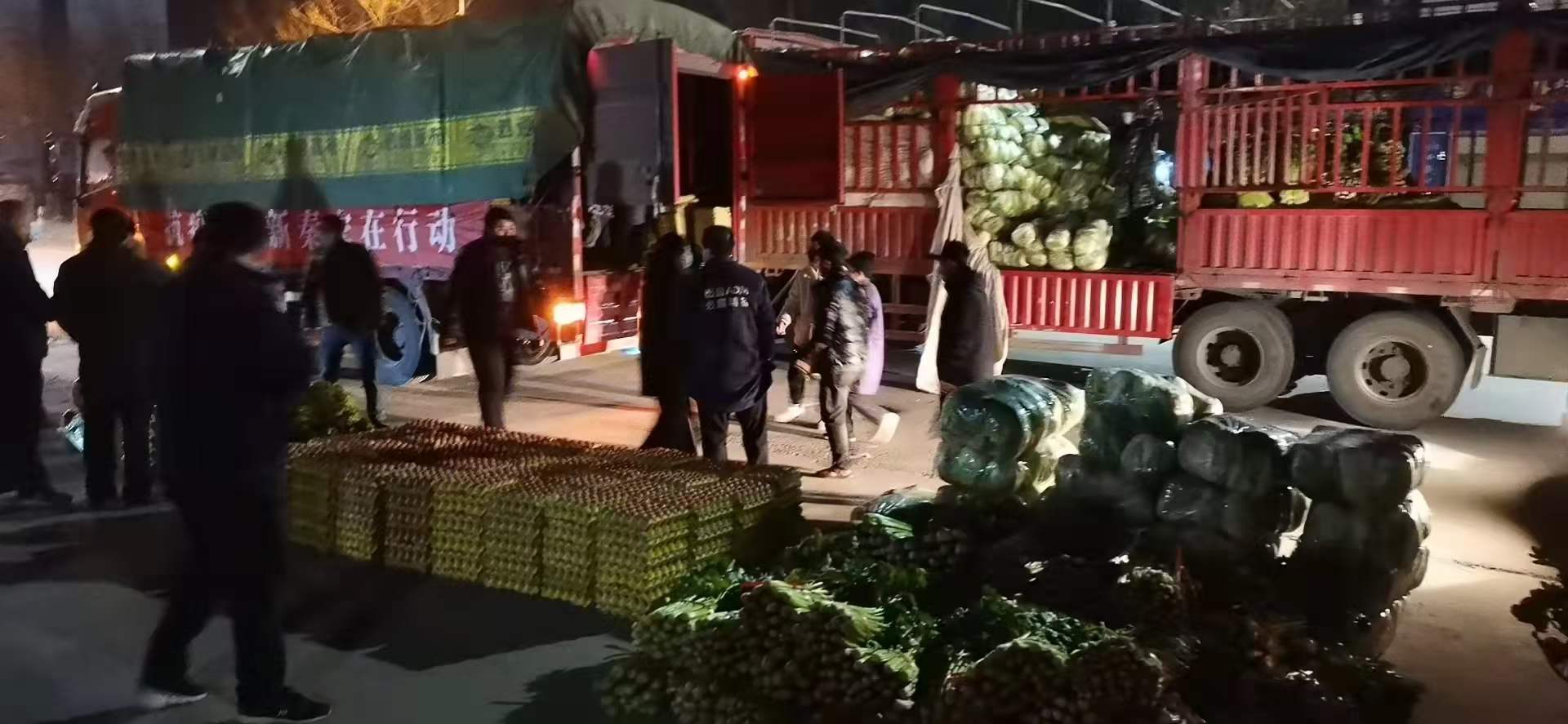 感謝黨和政府對我公司送來新鮮蔬菜，愿，國無恙，山河永固，加油，西安！
